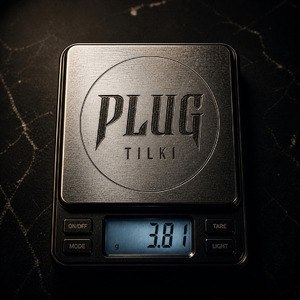 PLUG