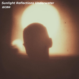 Sunlight Reflections Underwater