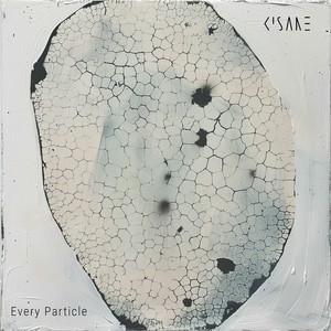 Every Particle