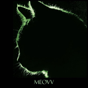 TOXIC （翻自 喵）