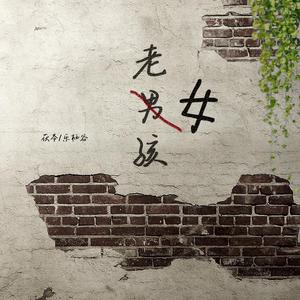 老男孩（女版）