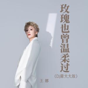玫瑰也曾温柔过 (DJ豪大大版伴奏)