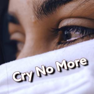 Cry No More (feat. Viral Sound God)