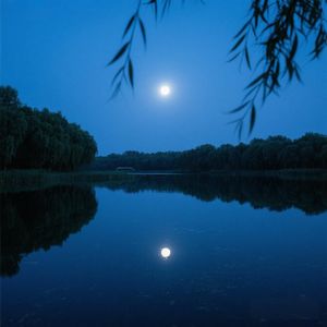 清风徐来水中月