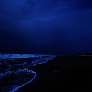  ‎‏ ‎‏ ‎‏ ‎‏无题