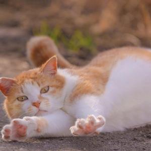 喜欢你(Live）（翻自 陈洁仪）