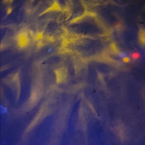 Feeling Like I Don't Know