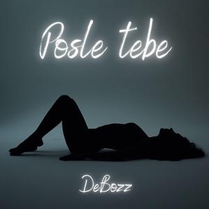 Posle tebe