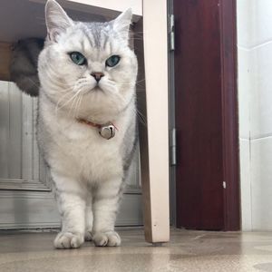 谁动了我的女朋友