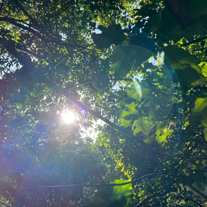 自由心灵-钢琴.mp3