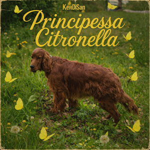 Principessa Citronella