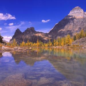 我不在的时候你要好好照顾自己