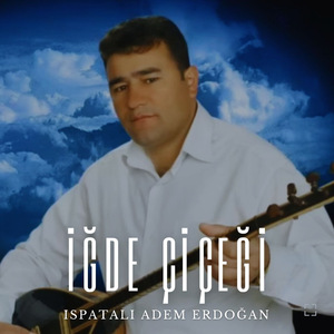 İğde Çiçeği