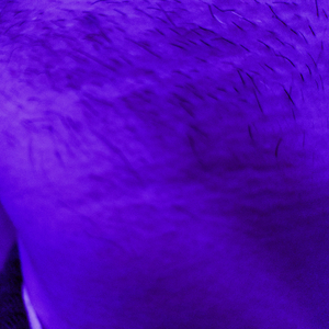 Hooks (Solo Version)