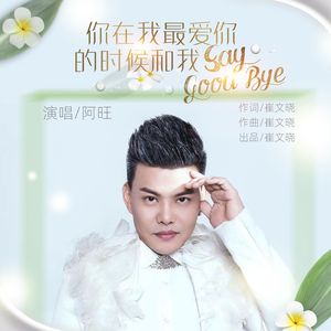 你在我最爱你的时候和我say good bye (伴奏)
