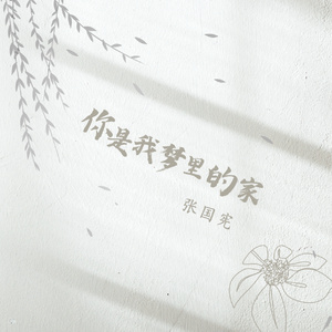 你是我梦里的家 伴奏