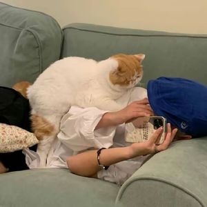 我的心下起了雪