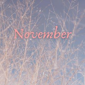 11월