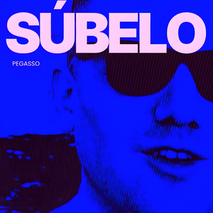 Súbelo