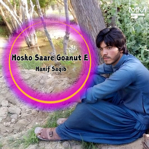 Hosho Saare Goanut E