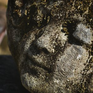 The Face Behind the Stone