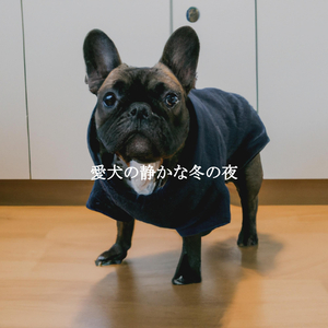 Fiery Moods for My Moments