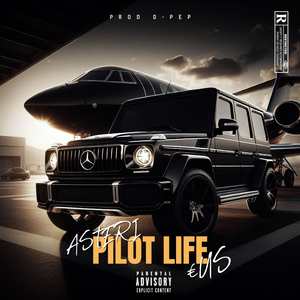 Pilot Life
