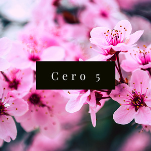 Cero 5