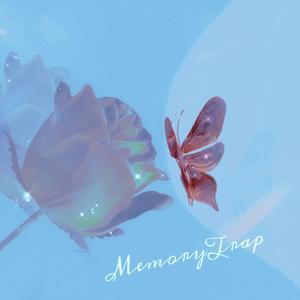 Memory Trap 回忆陷阱