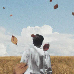 햇살에 물든 행복 (Sunlit Bliss)