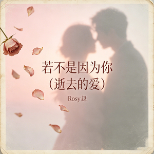 若不是因为你（逝去的爱）