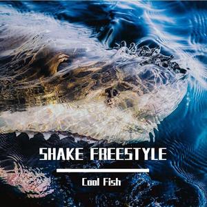 SHAKE FREESTYLE(prod by 船长&Guess whose beats)