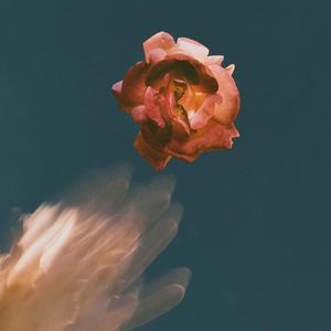虚拟