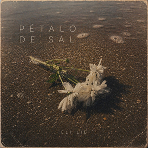 Pétalo de sal