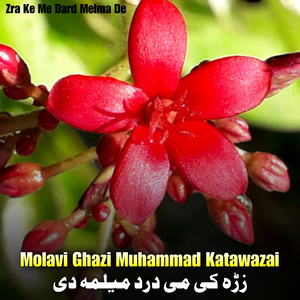 Spin Bairagh Nan Pa Gran Khorasan Khwand Kawe