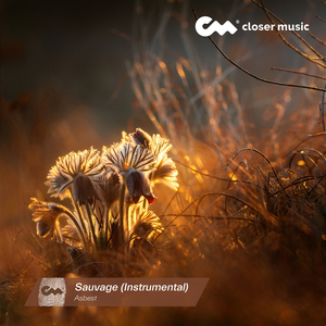 Sauvage (Instrumental)