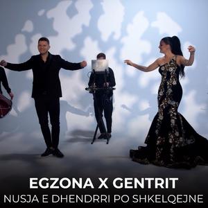 Nusja e dhendrri po shkelqejne