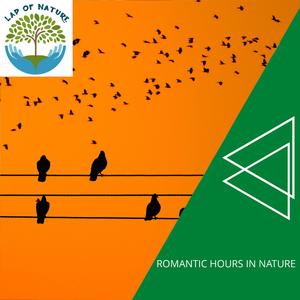 Night Beach Fire Motion