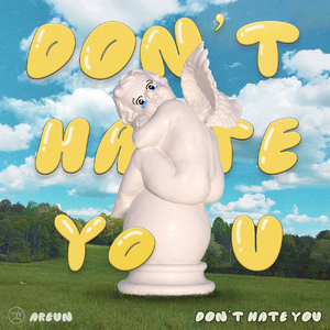 Don't Hate You