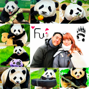 智哥和噗姐为福宝画春天