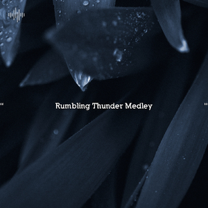 Rainful Study Time