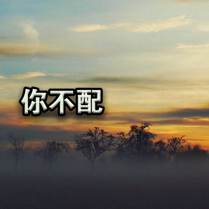 你不配