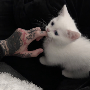 千与千寻（纯音乐）原唱：久石让