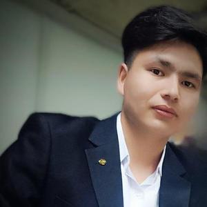 坦布尔tamburmuzika