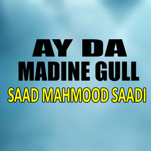 Chi Pa Qiyamat Da Shafat Medan Ta Zi Habiba