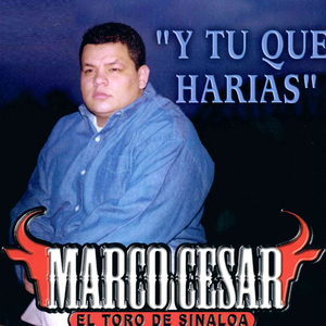 Cuatro Chamacos