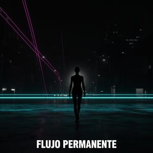 Flujo Permanente