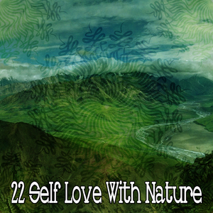 隱藏在自然的和平中