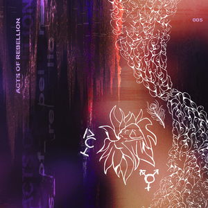 Expanding The Border