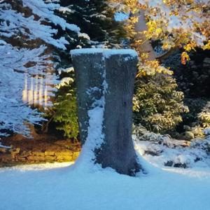 A Brawl. (To The Death and Such) (Demo)